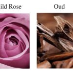 Rose & Oud Gift Set