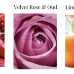 Gift Set 3 minis Velvet Rose Oud, Pomegranate Noir, Lime Basil Mandarin
